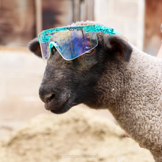 Pit Viper VLFP104The Baja Blaster 2000s