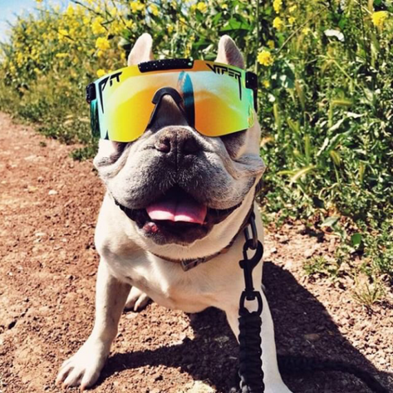 Pit Viper VLFP107The Monster Bull Polarized