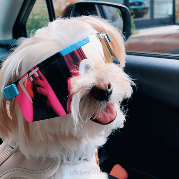 Pit Viper VLFP137The Gobby Polarized Double Wide