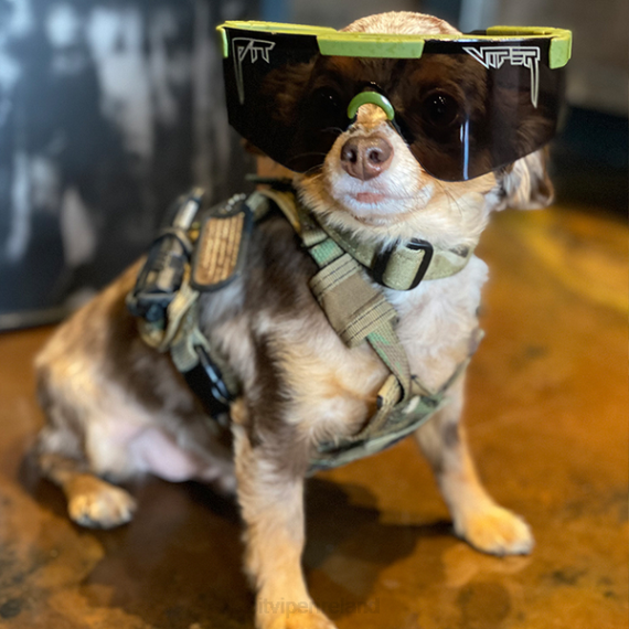 Pit Viper VLFP150The NJP 2000s