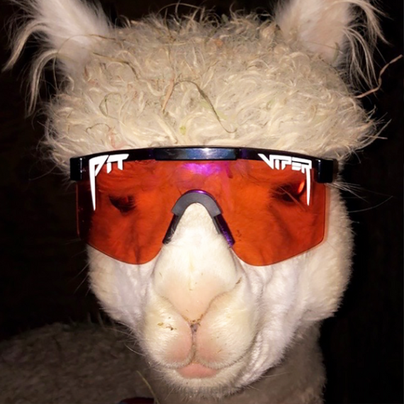 Pit Viper VLFP73The Mud Slinger