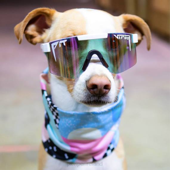 Pit Viper VLFP248North Beach Tour Neck Warmer